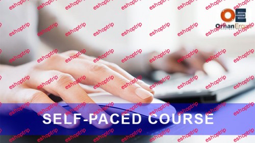 Orhan Ergun Self Paced CCDE Course