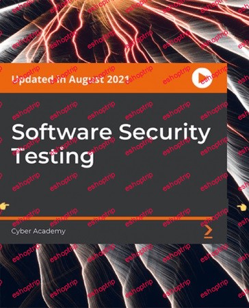 Software Security Testing 1