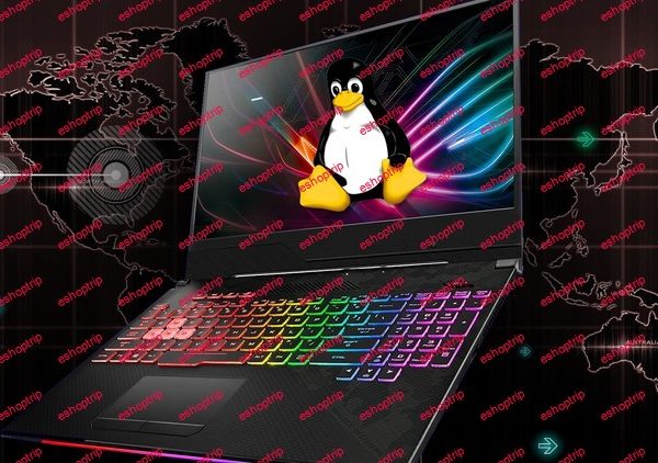 Best 5 projects to learn Linux from Zero to Hero