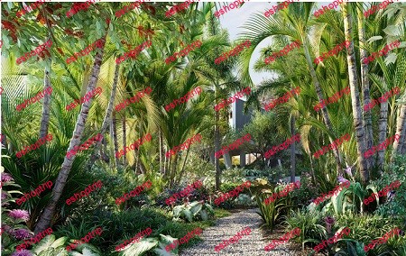 Globe plants Bundle 32 Brazilian Home Garden Plants 3D Model