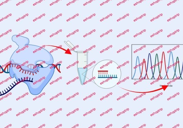 Molecular Biology Gene Expression Techniques and Cancer