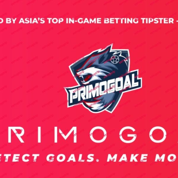 PRIMOGOAL Laziest Soccer Betting System Detect Goals Earn Money