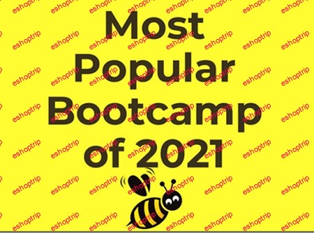 StockBee Bootcamp 2021