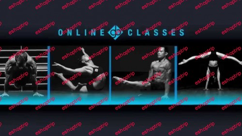 Gymnastic Bodies Online Classes Handstands