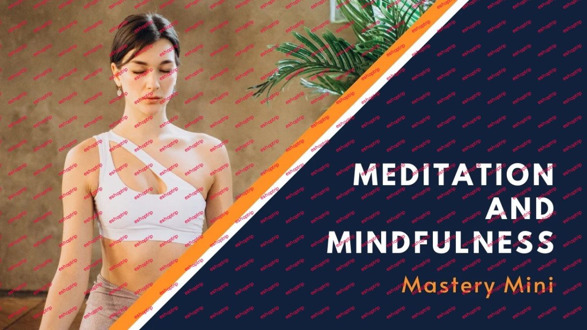 Meditation and Mindfulness Mastery Mini