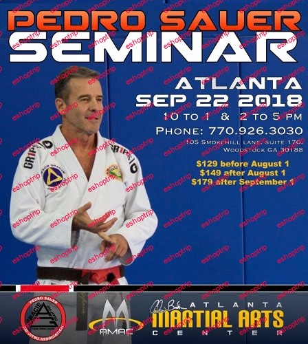 Pedro Sauer Seminar 2