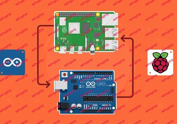 Raspberry Pi and Arduino Go to The Next Level