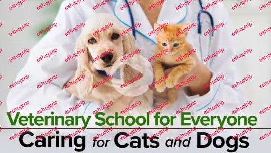 TTC Video Veterinary School for Everyone Caring for Cats and Dogs