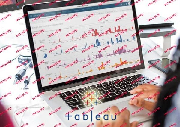 Tableau Data Analytics and Data Visualization Course