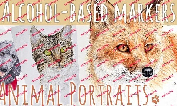 Alcohol Based Markers How to Render Fur and Create Your Own Animal Portrait