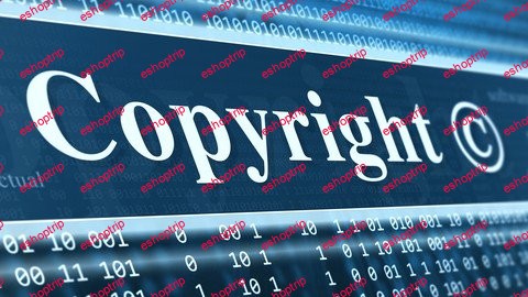 Copyright Protection for Entrepreneurs Protect Your Work