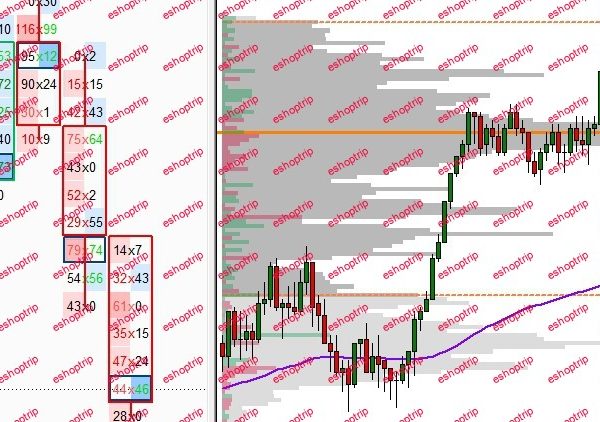 Day Trading with Volume Profile and Orderflow