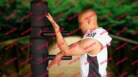 Wing Chun 116 Dummy Training