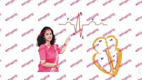 Learn basics of ECG EKG with interpretation