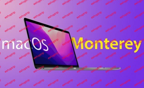 macOS Monterey 12.2.0 21D49 Hackintosh Multilingual