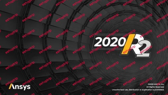 ANSYS Motion 2022 R1 x64 Multilingual