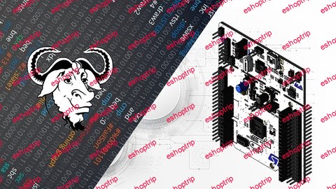 ARM GNU Assembly Programming From Ground Up™