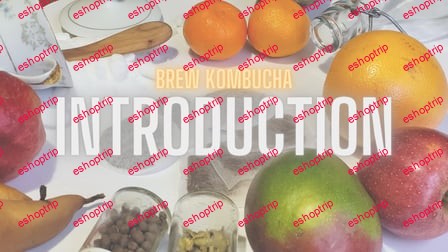 Brew Kombucha Great Flavoured Beverage to Drink and Share