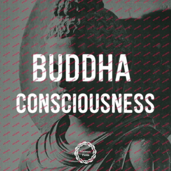 Maitreya Fields Buddha Consciousness The Sphere