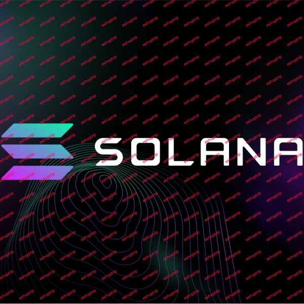 Solana Blockchain Developer Bootcamp with Rust Javascript