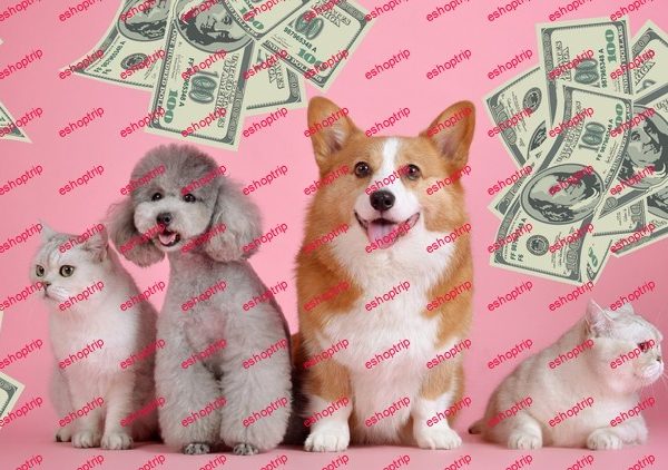 Discover How To Make Money With Your Pet