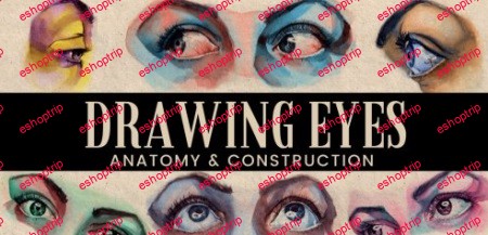 Drawing Realistic Eyes at Any Angle Anatomy to Improve Your Art