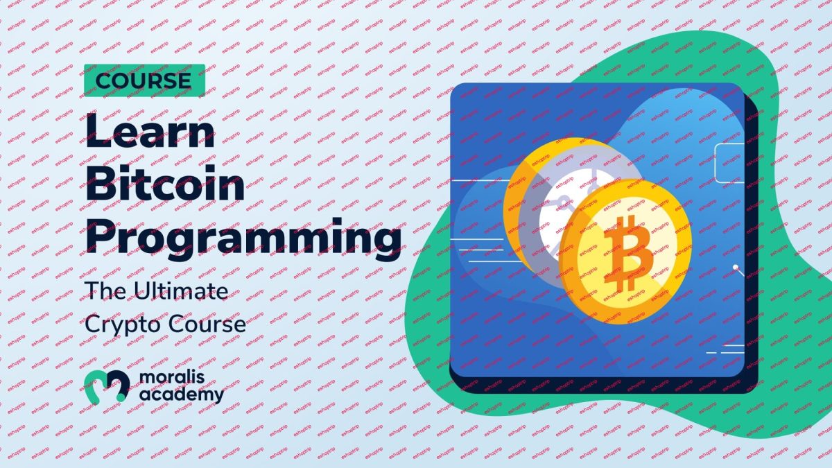 Moralis Bitcoin Programming 101