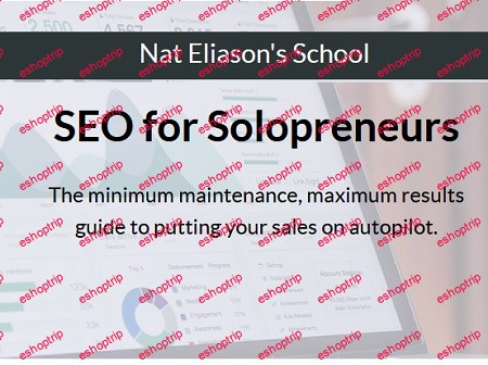 SEO for Solopreneurs Nat Eliasons School