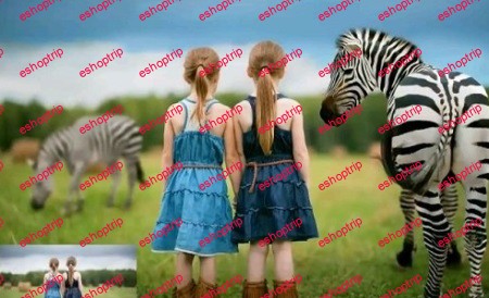 Summerana Dancing Stripes Zebra Editing Video