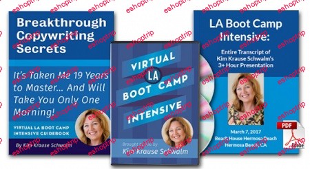 Kim Krause Schwalm Virtual LA Boot Camp Intensive