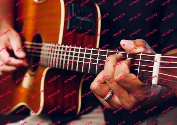 Acoustic Guitar for Beginners 2022