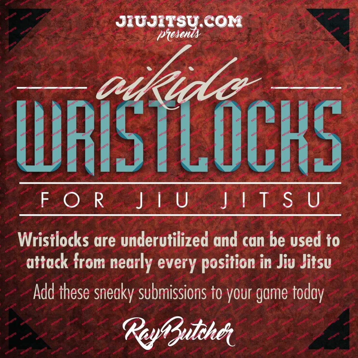 Ray Butcher Aikido Wristlocks for Jiujitsu