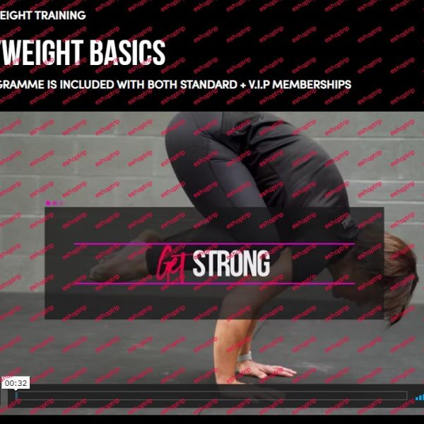 Schoolofcalisthenics Bodyweight Basics