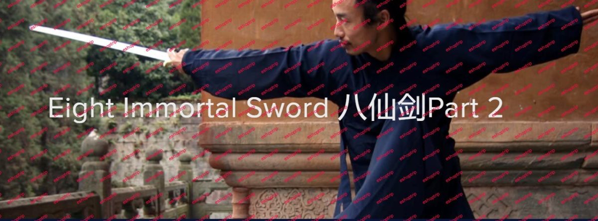 Wudang Dao Cultural Institute Eight Immortal Sword Part 2 North America