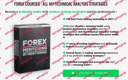 French Trader Forex Mentoring