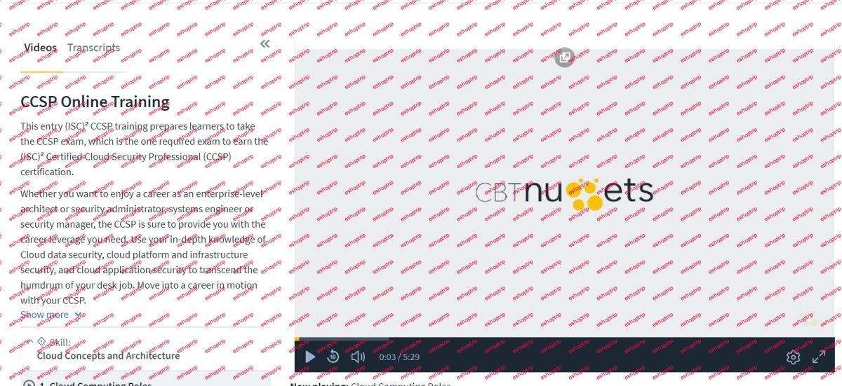 CBTNuggets ISC2 CCSP Certified Cloud Security Professional