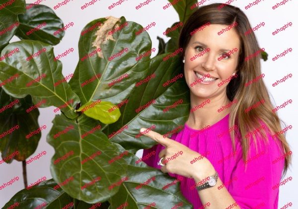 Fiddle Leaf Fig Expert Course