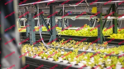 Future Farms Hydroponics Course