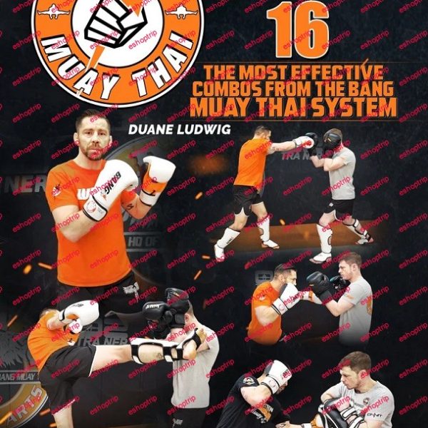 Duane Ludwig Sweet 16