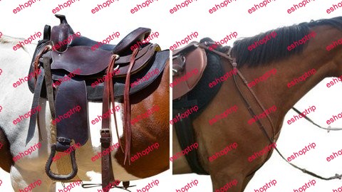 Intro To Saddle Fit And Tack Care English Western