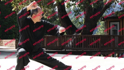 Yang Tai Chi 108 Form Parts 2 And 3 With Master Yang Ymaa