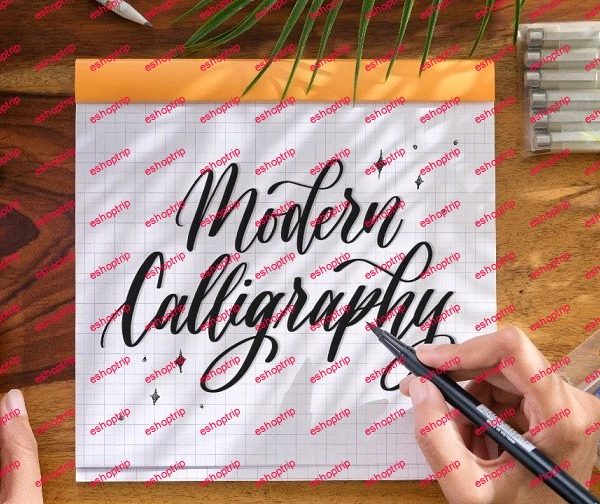 Beginners Guide to Modern Brush Pen Calligraphy