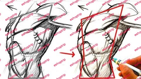 How To Pen Drawing One Shape Torso To Draw Any Body