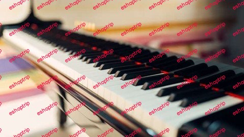 Piano Chords 101