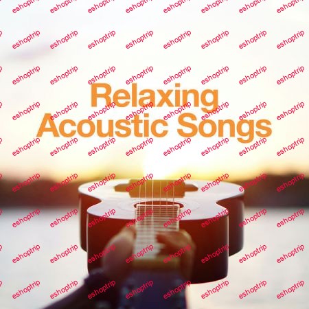 Various Artists Relaxing Acoustic Songs 2020