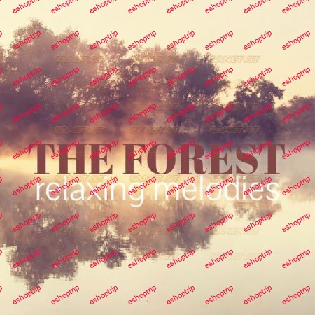 Various Artists The Forest Relaxing Melodies 2021