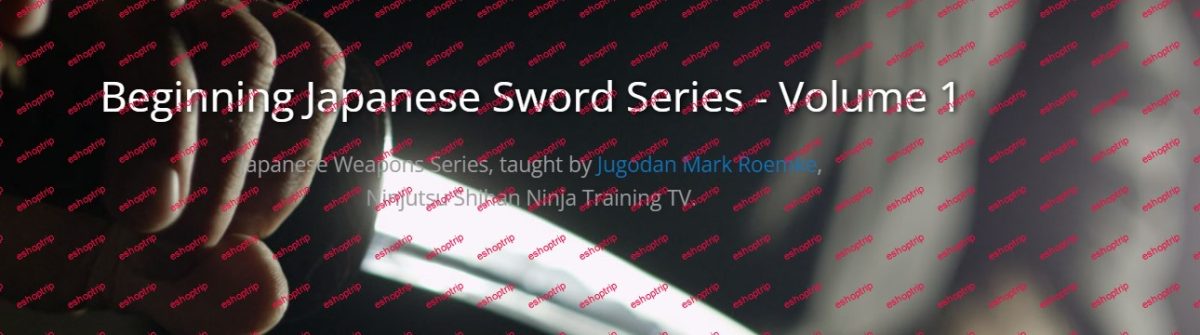 Beginning Japanese Sword Vol. One