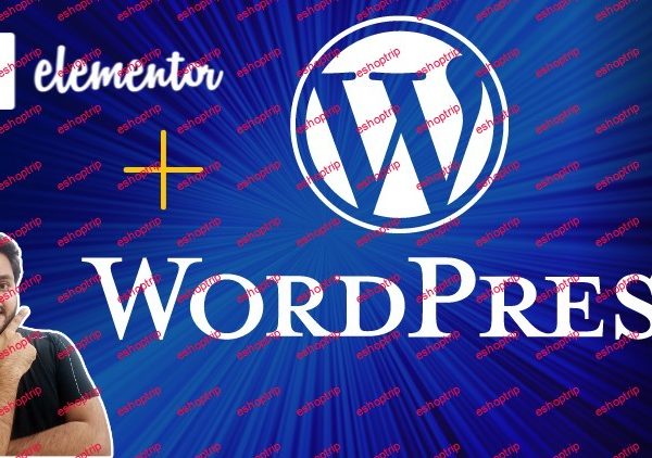 WordPress for Beginners Create Beautiful Websites Quickly