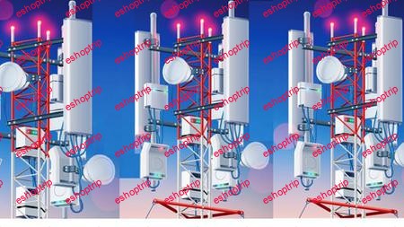 Open RAN O RAN and 4G 5G Private Networks Building