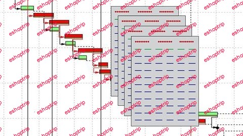 Primavera P6 Creating And Formatting Reports